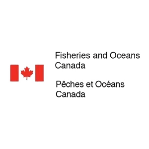 please fill out the ALT attribute