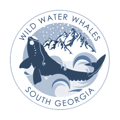 Wild Water Whales