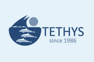 please fill out the ALT attribute