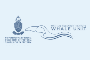 please fill out the ALT attribute