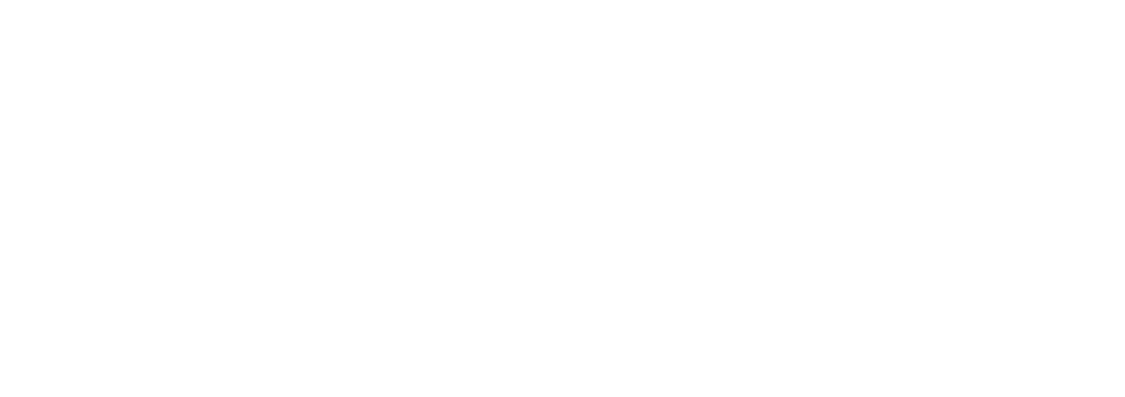 Universitat Politècnica de València (UPV)