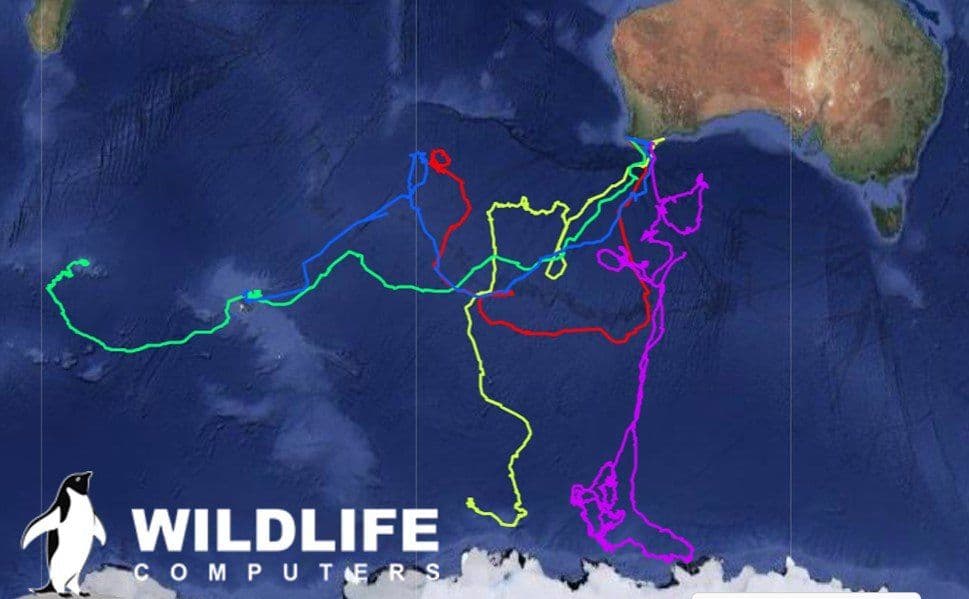 please fill out the ALT attribute