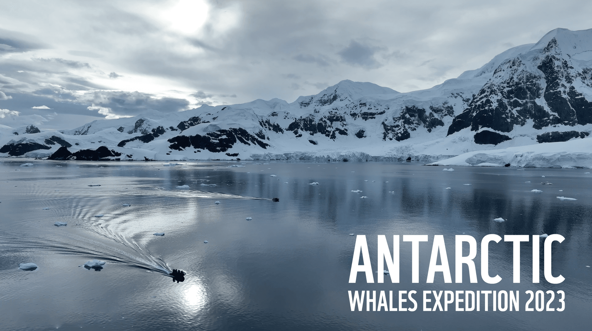 please fill out the ALT attribute