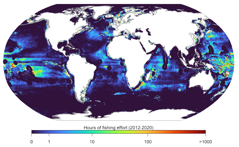 please fill out the ALT attribute