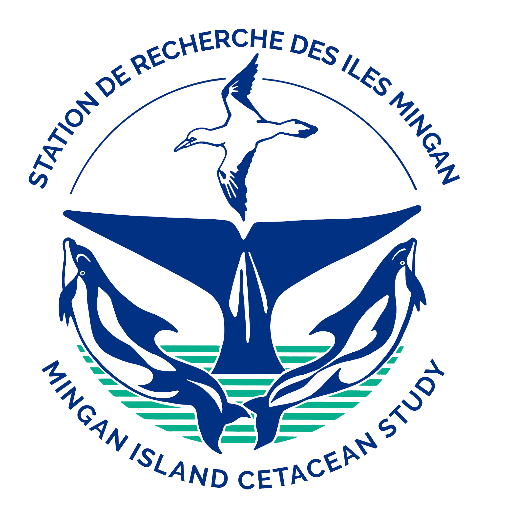 Mingan Island Cetacean Study