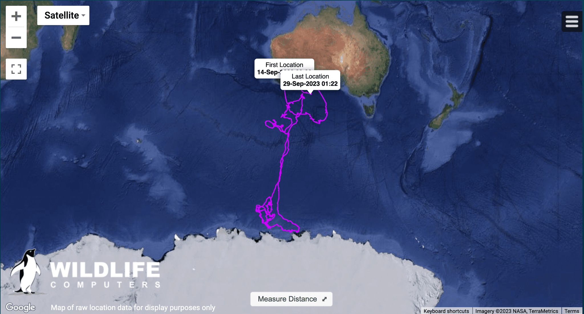 Nebinyan is an adult southern right whale that was tagged of Cheyne Beach, Western Australia, on 19 September 2022.