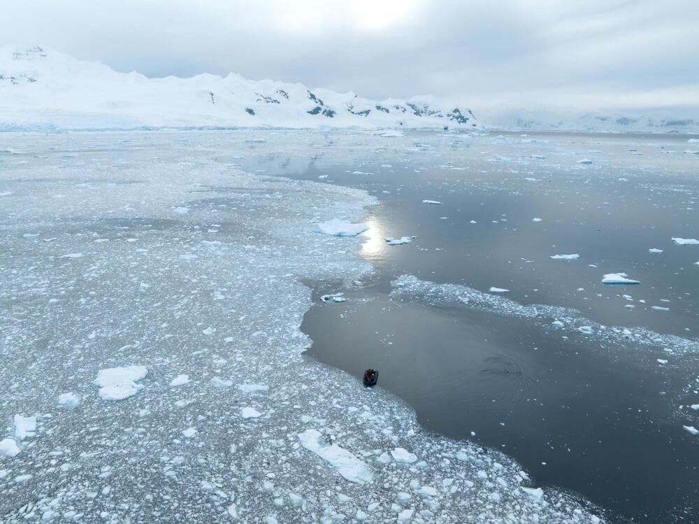 © UCSC-WWF-Chris Johnson - Permit under NOAA